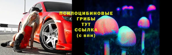 круглые Осинники