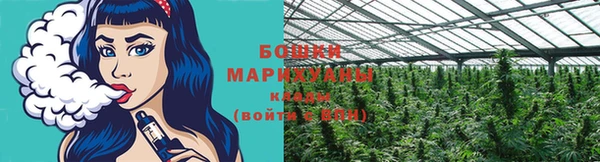 дживик Осташков