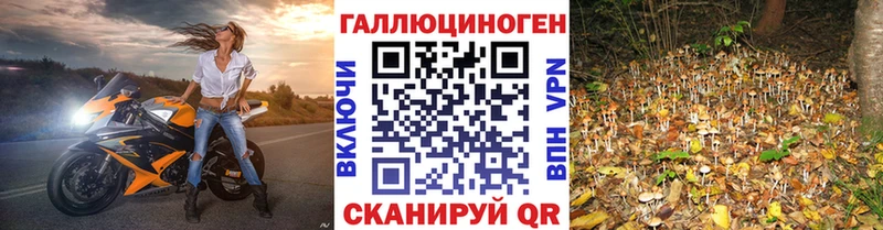 Псилоцибиновые грибы MAGIC MUSHROOMS  Кострома 