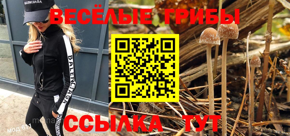 Псилоцибиновые грибы мухоморы Кострома