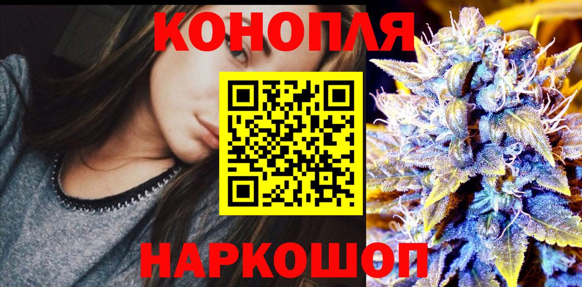 Каннабис планчик Кострома